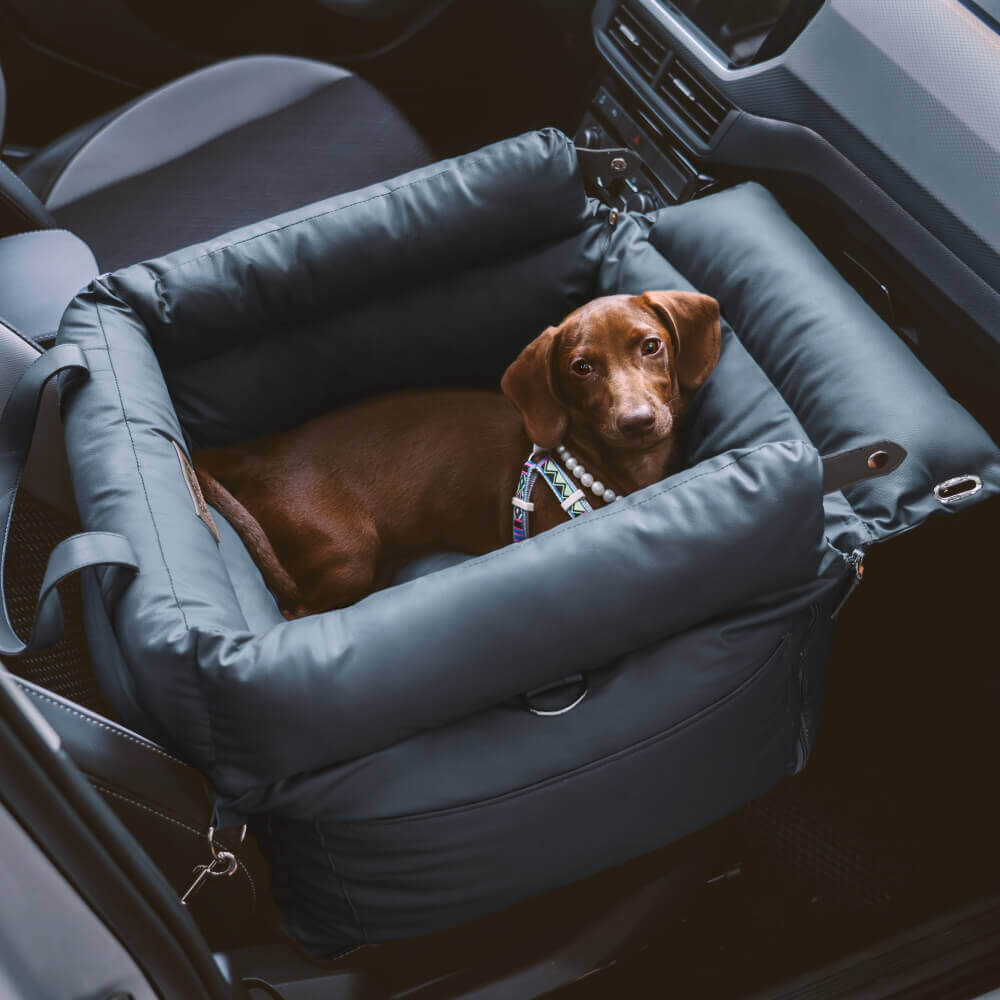 Hunde-Autositz Komfort XL - Sicher &amp; Waschbar