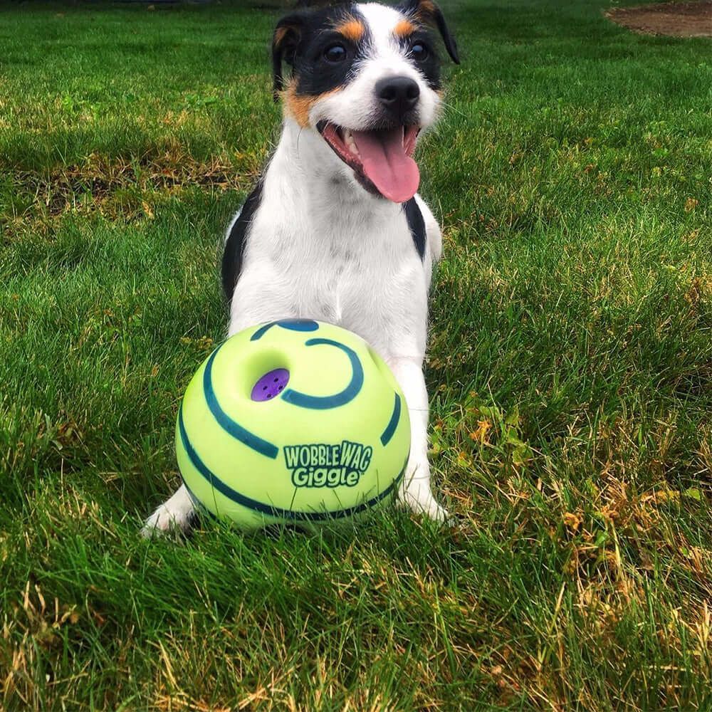 Interaktiver Hundespielball - GiggleSphere