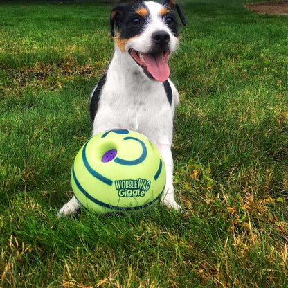 Interaktiver Hundespielball - GiggleSphere