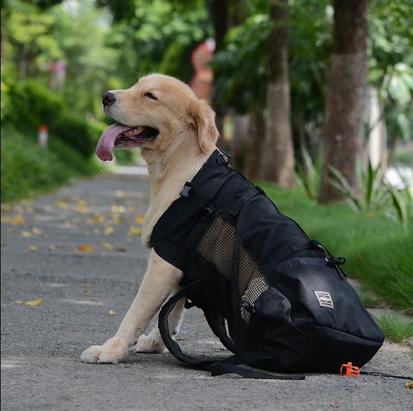 Hund Rucksack Tragetasche