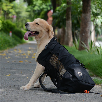 Hund Rucksack Tragetasche