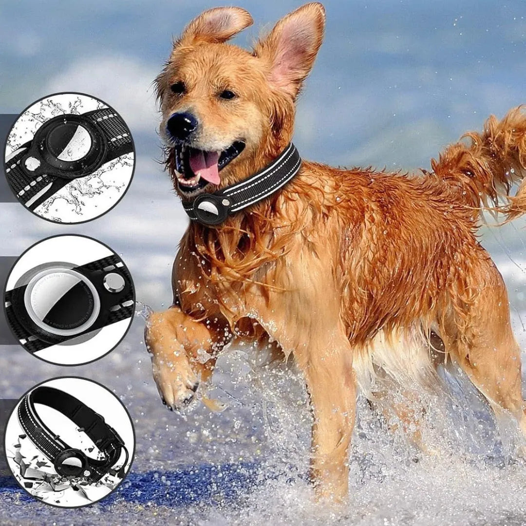 SafePaw – Das stilvolle AirTag Hundehalsband für maximale Sicherheit unterwegs