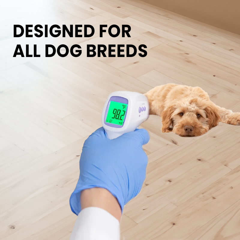 Kontaktloses Hundethermometer mit Ein-Klick-Ablesung