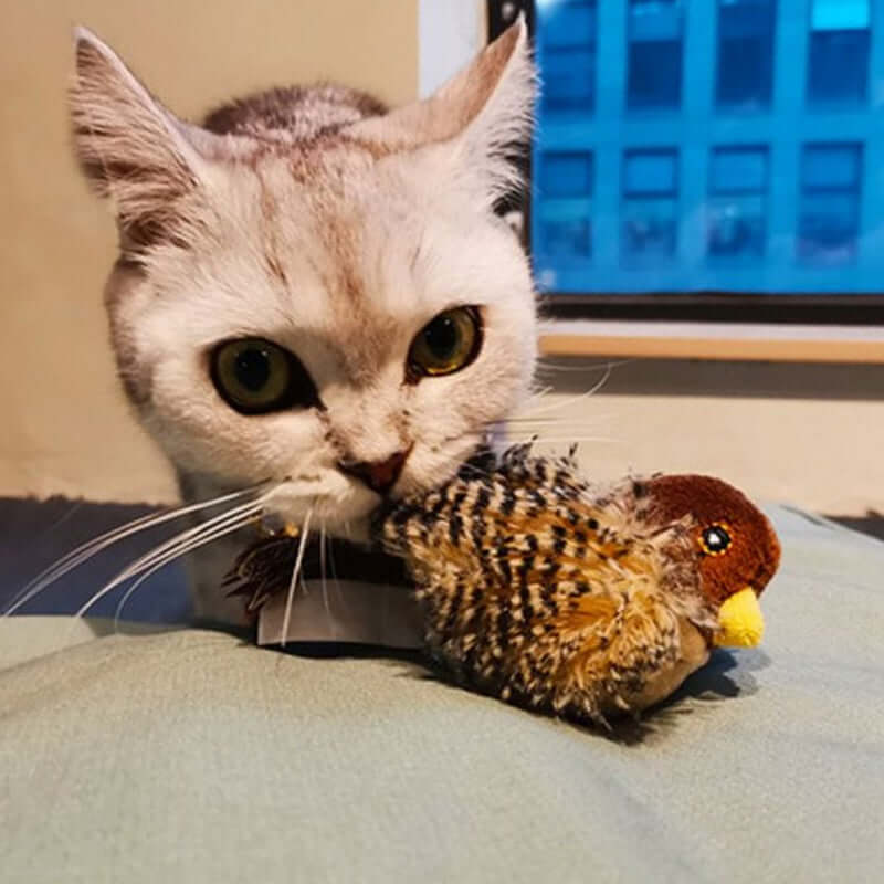 Interaktives Katzenspielzeug Vogel mit Geräuschen