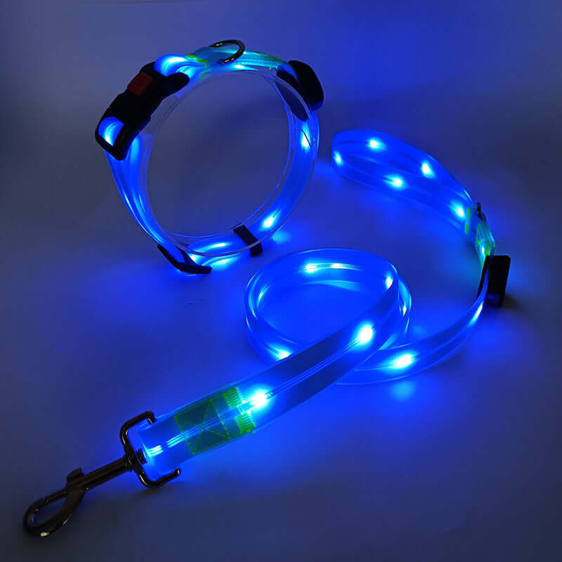 LED Hundehalsband mit Leine - Sicher &amp; Sichtbar