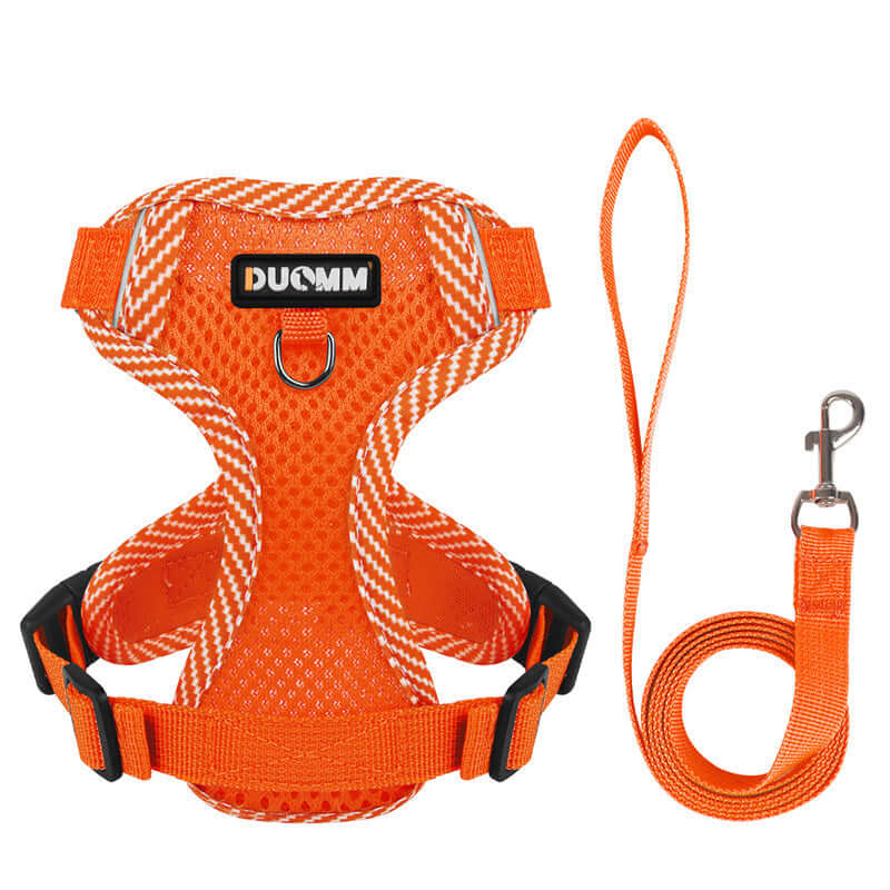 Reflektierendes Hundegeschirr &amp; Leine Set