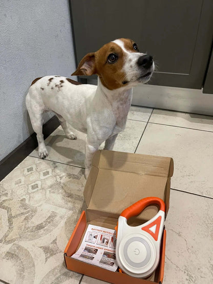 LED Hundeleine mit Taschenlampe, 5m, Leucht-Leine