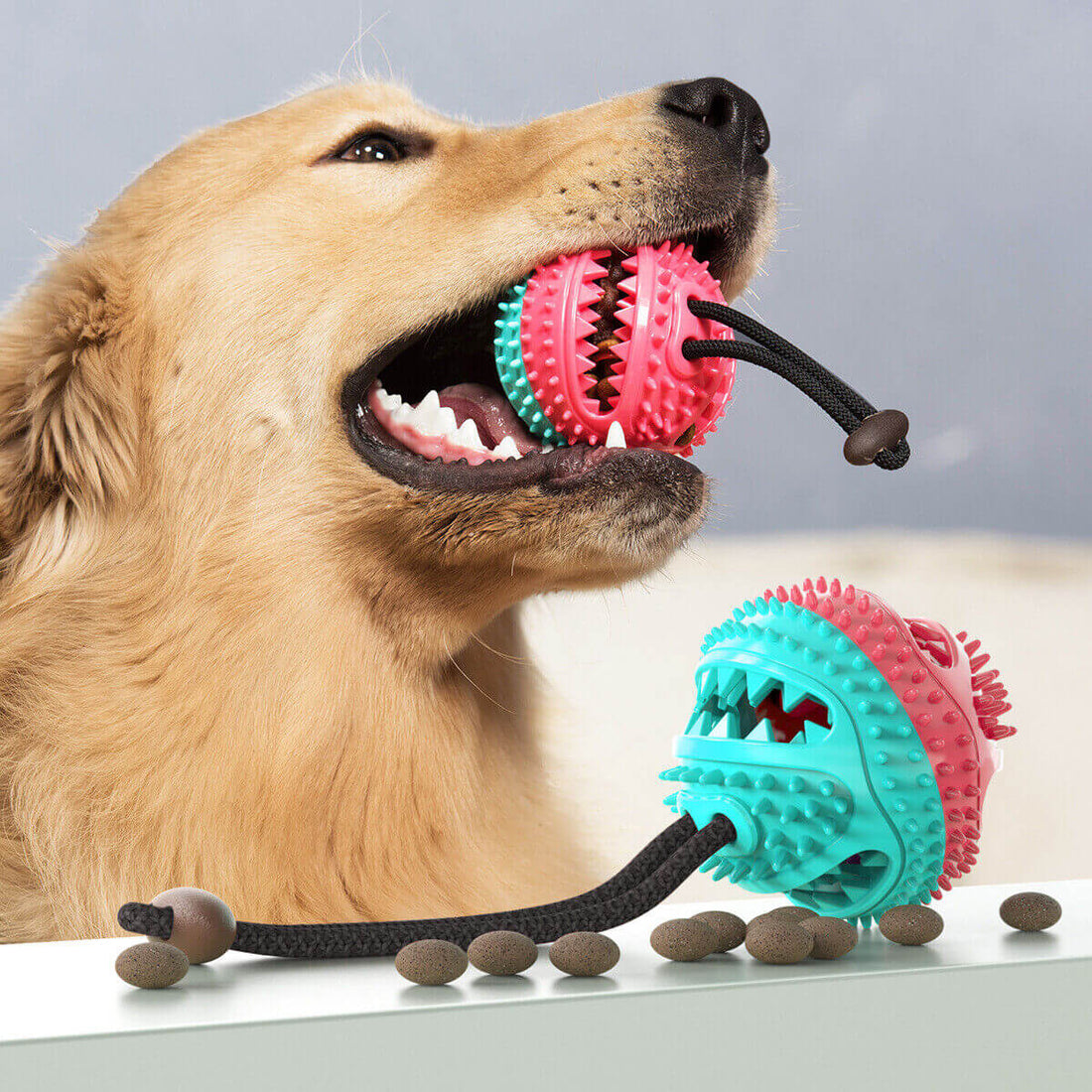 Robustes Hundezerrspielzeug mit Saugnapf