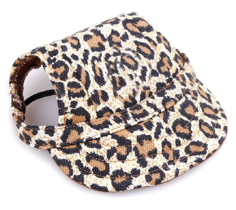 Hunde-Cap mit Ohrenlöchern &amp; Kinnriemen
