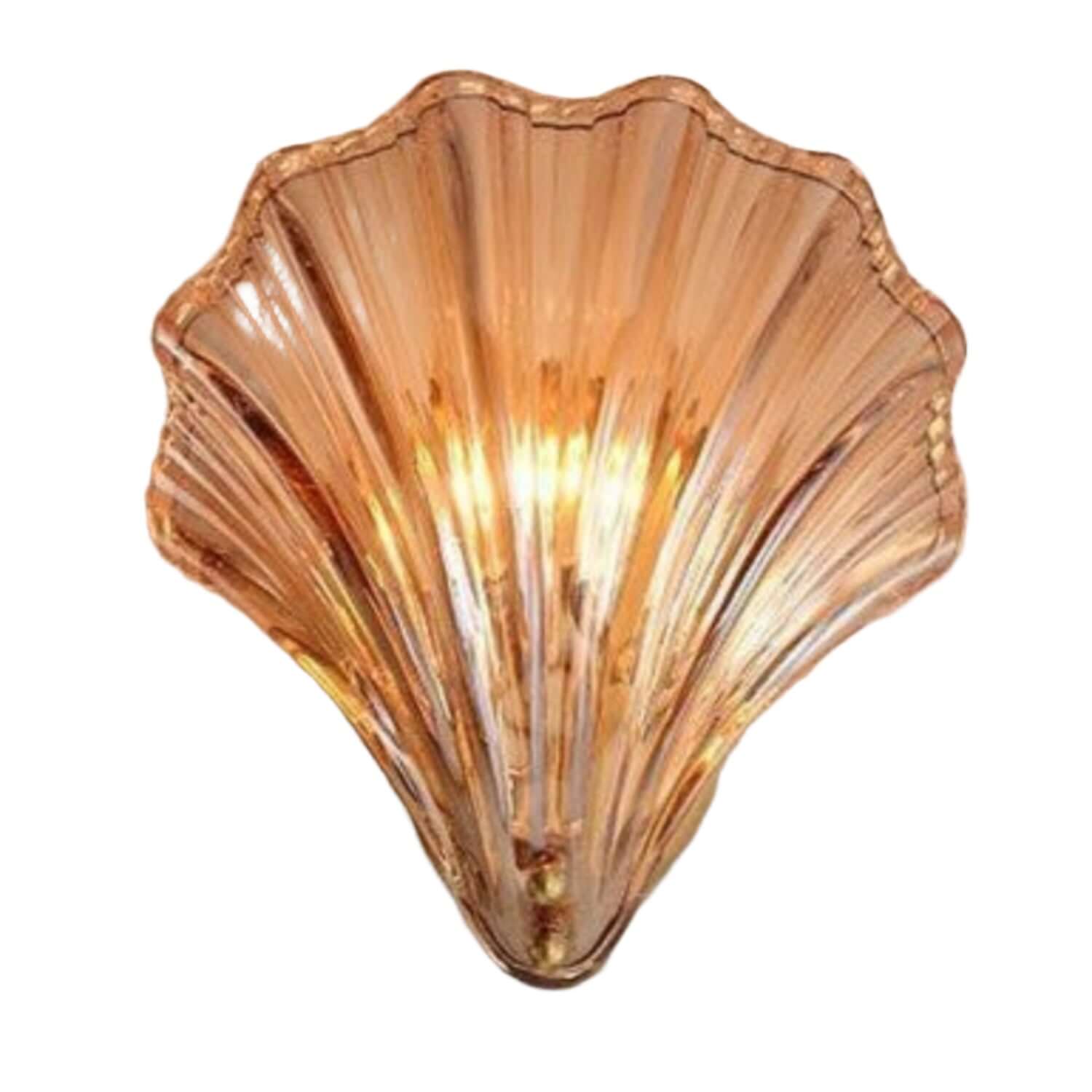 Muschel Wandleuchte aus Messing &amp; Glas