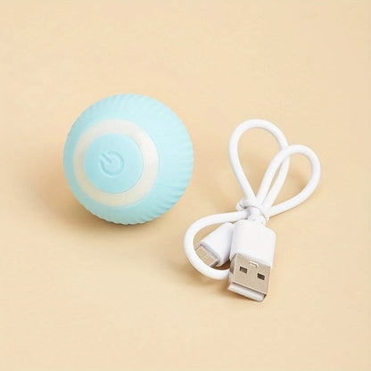 CatRoller | Der interaktive Spielball für endlosen Katzenspaß