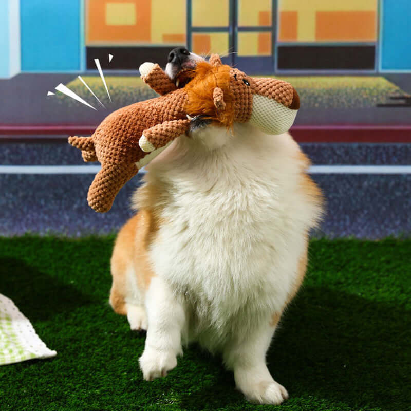 Extra Starkes Hundespielzeug - Langlebig &amp; Sicher