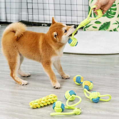 Hundespielzeug Seilball - Zahnpflege &amp; Spielspaß