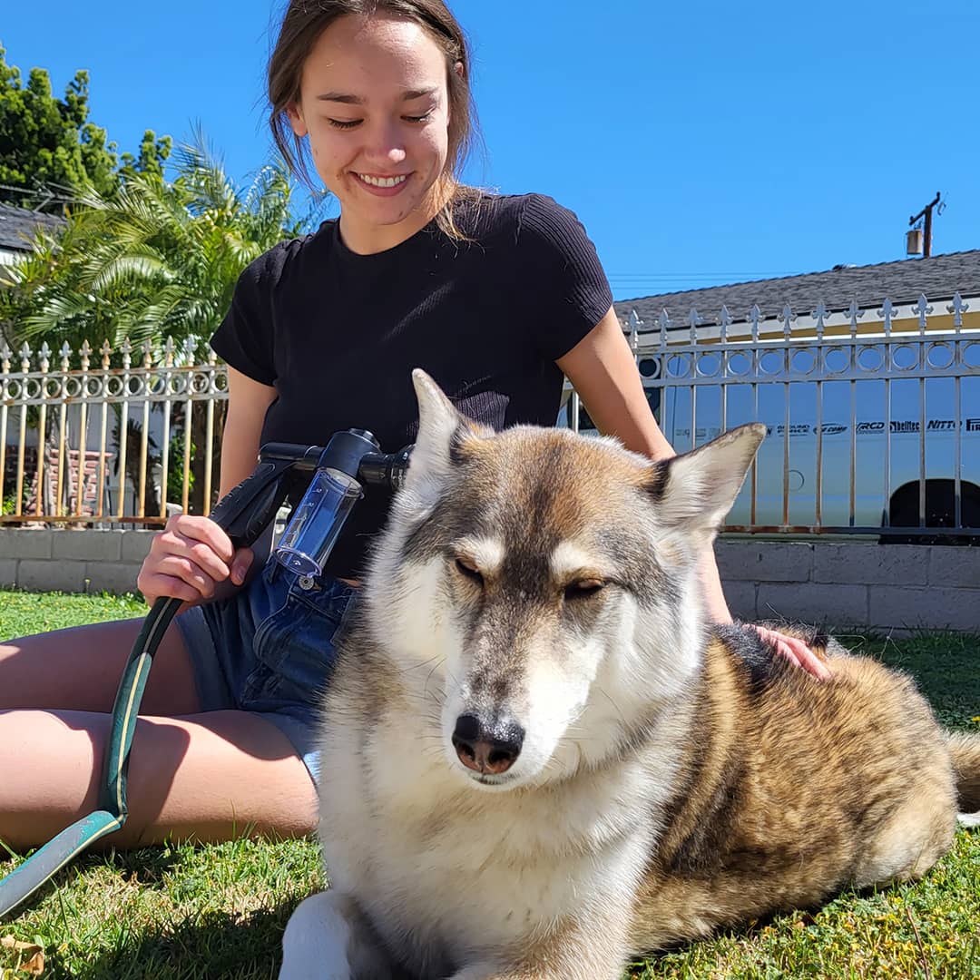 Hunde-Duschbrause für schnelles &amp; einfaches Waschen