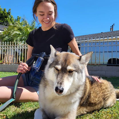 Hunde-Duschbrause für schnelles &amp; einfaches Waschen