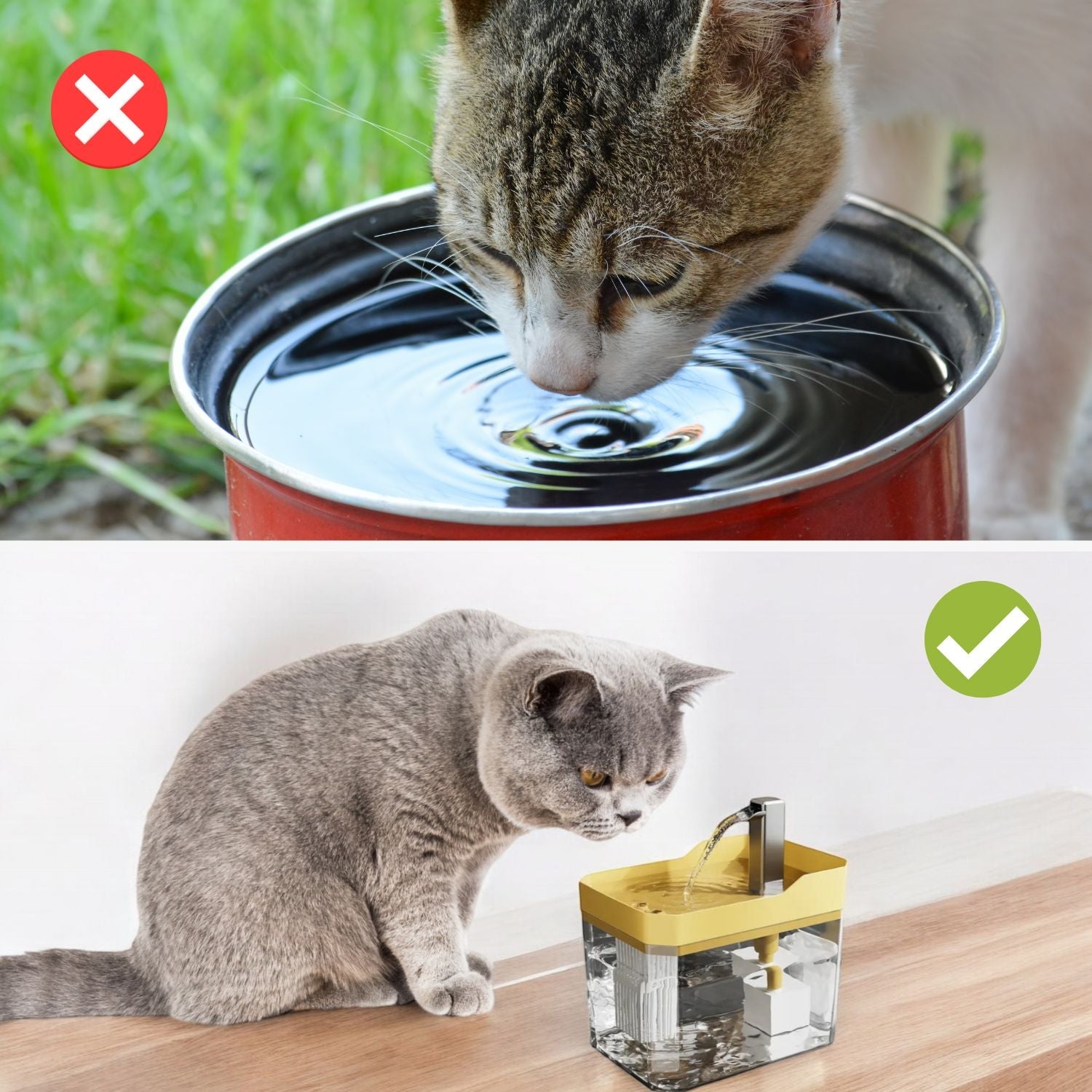 Zelara - Stelle sicher, dass dein Haustier frisches, gefiltertes Wasser trinkt, um seine Gesundheit zu optimieren!