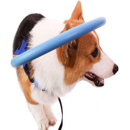 Bumper-Kragenführer für blinde Hunde Geschirr