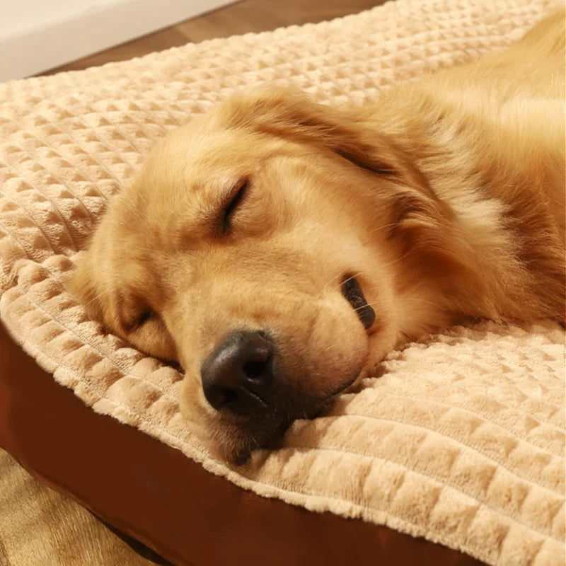 Zelara – Schmerzfreie, erholsame Nachtruhe für deinen geliebten Hund