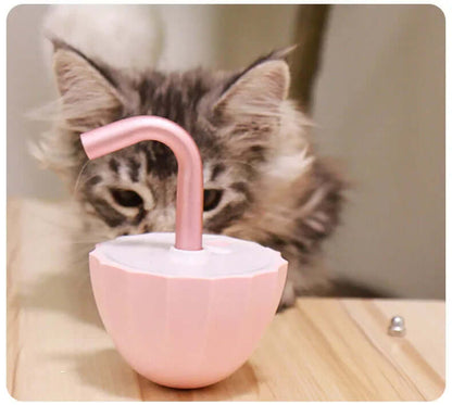 Interaktives Katzenspielzeug Laserpointer