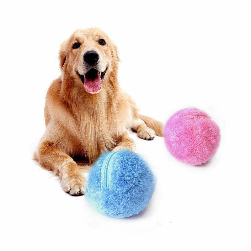 Interaktiver Selbstrollender Hundeball