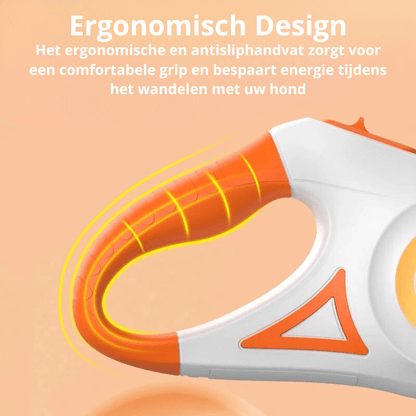 LED Hundeleine mit Taschenlampe, 5m, Leucht-Leine