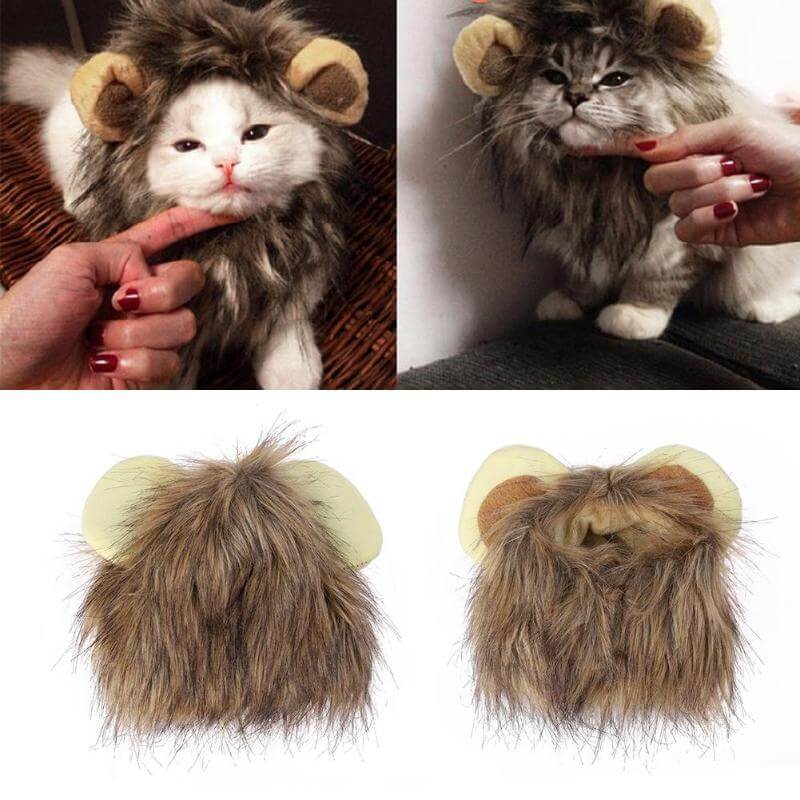 Katzen Löwenmähne, Haustier Kostüm Mähne