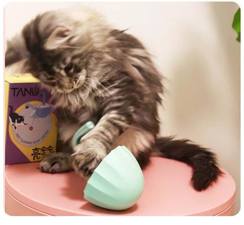 Interaktives Katzenspielzeug Laserpointer