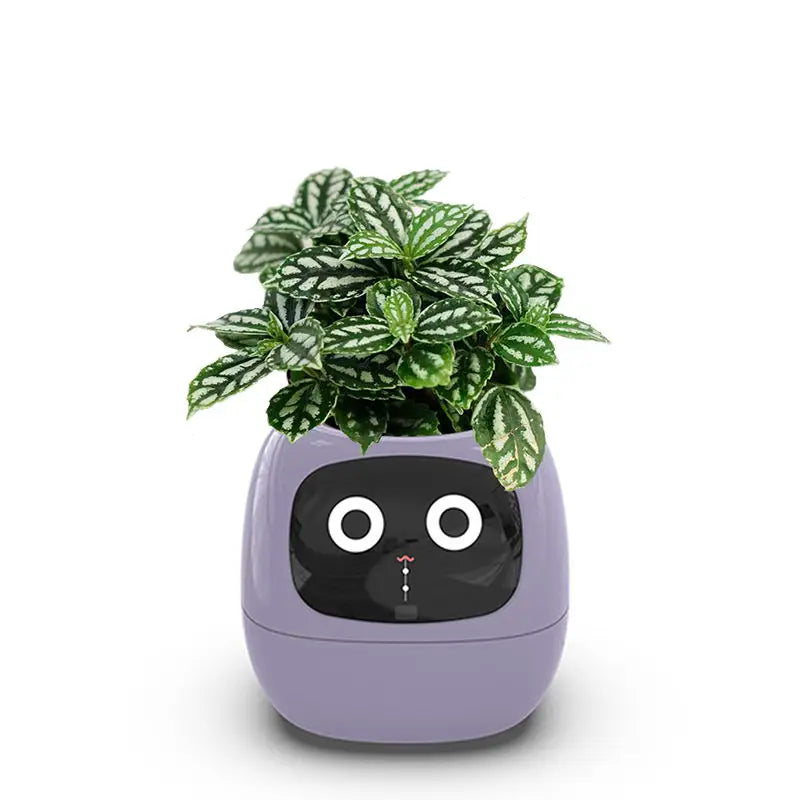 Smart Sensors Planter - 7 smarte Sensoren und AI-Chips machen es einfach und Spaß, Pflanzen im Wohnzimmer zu züchten