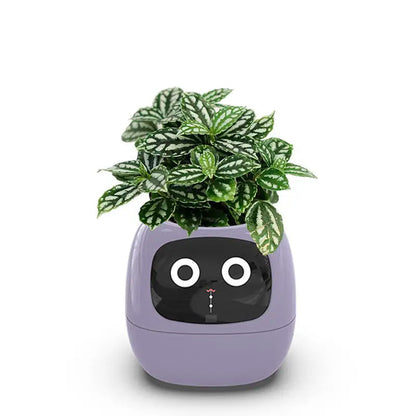 Smart Sensors Planter - 7 smarte Sensoren und AI-Chips machen es einfach und Spaß, Pflanzen im Wohnzimmer zu züchten