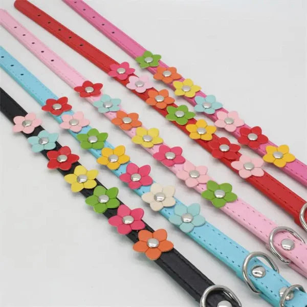Hundehalsband verstellbar | Robust &amp; weich mit Blumenmuster