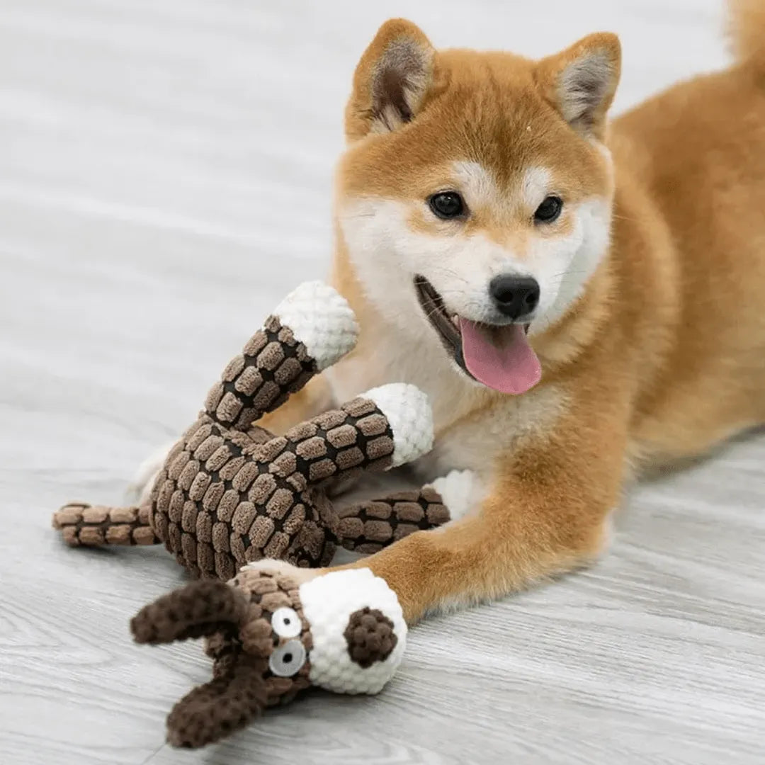 Robustes Hundespielzeug aus reißfestem Plüsch | Weiches Kuscheltier für Hunde