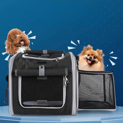 VeloPfote – Der sichere Fahrradkorb für entspannte Ausflüge mit deinem Hund