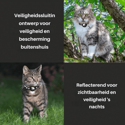Katzenhalsband mit Sicherheitsverschluss &amp; GPS-Tracker Halterung