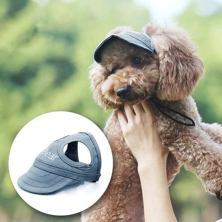 Hunde-Sonnenmütze UV-Schutz