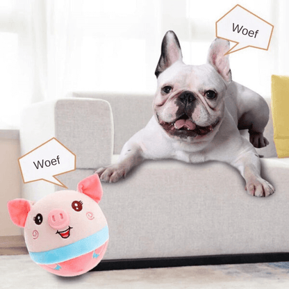 Interaktives Hundespielzeug - Bewegung &amp; Spaß