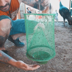 Wiederverwendbare Fliegenfalle für den Außenbereich – Umweltfreundlich, geruchslos &amp; chemiefrei