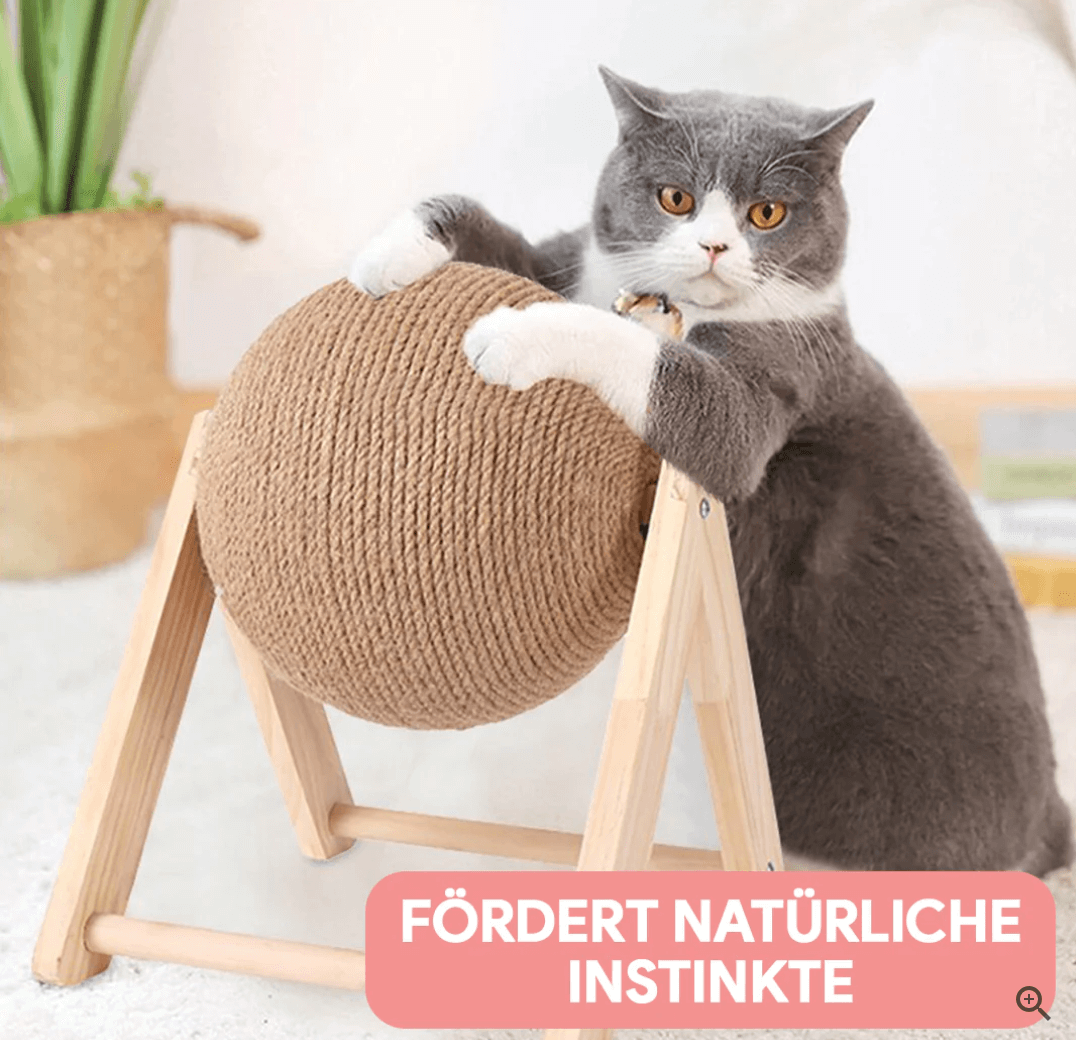 Katzenspielzeug Kratzbaum - Spielspaß &amp; Krallenpflege