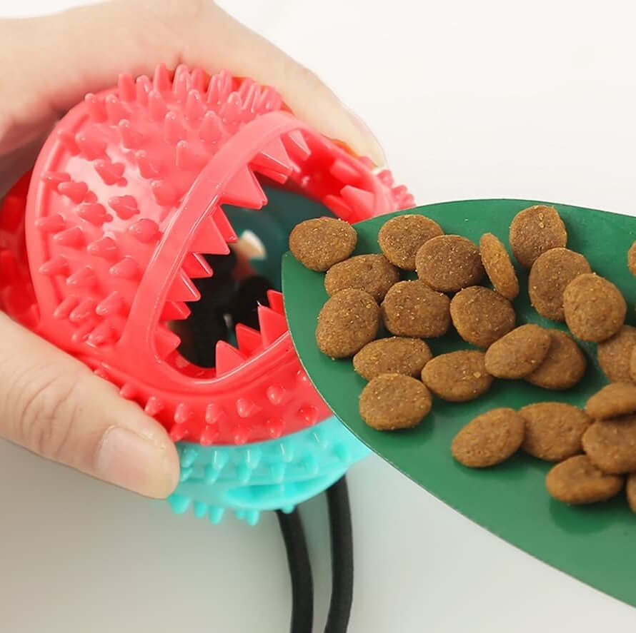 Robustes Hundezerrspielzeug mit Saugnapf