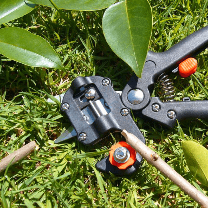 🔩Professionelles Garten Veredelungswerkzeug-Set⚙️