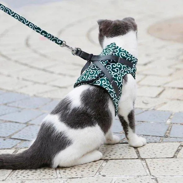 Katzengeschirr für Freigänger | Sicher &amp; Bequem