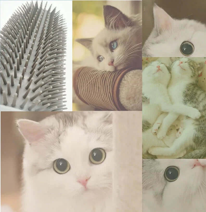 Katzen-Selbstpflegebürste für die Ecke