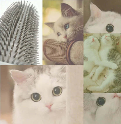 Katzen-Selbstpflegebürste für die Ecke