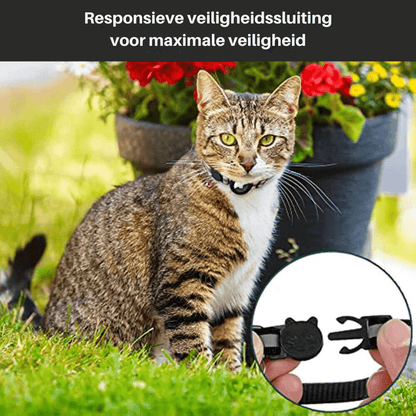 Katzenhalsband mit Sicherheitsverschluss &amp; GPS-Tracker Halterung