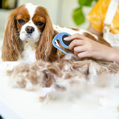 GroomEasy – Die entspannte Lösung gegen Knoten &amp; Verfilzungen