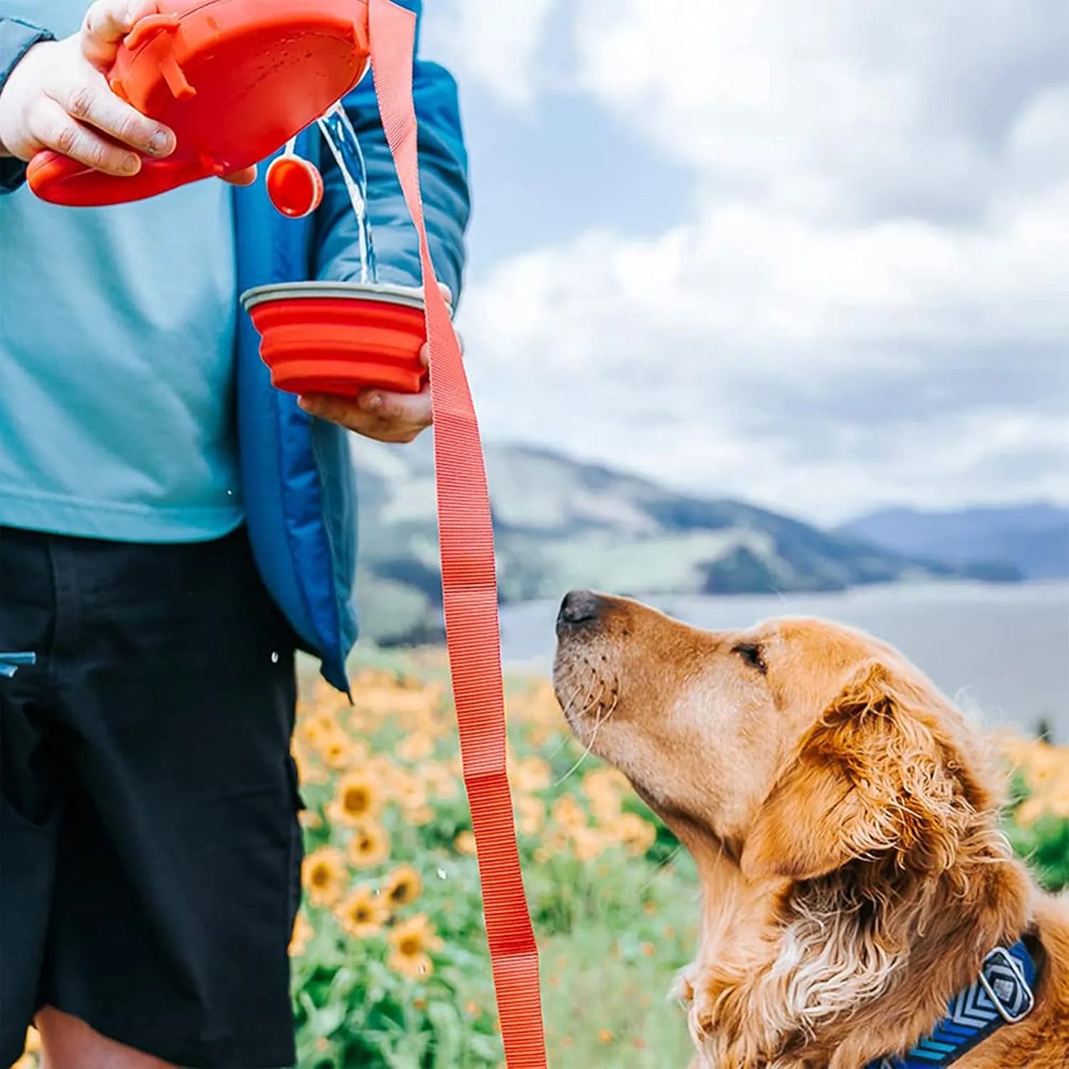 3-in-1 Hundeleine mit Trinkflasche &amp; Kotbeutelspender