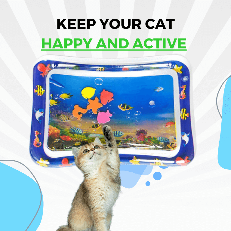 Interaktive Wasserspielmatte für Katzen