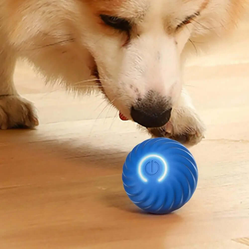 Interaktives Rollendes Hundespielzeug