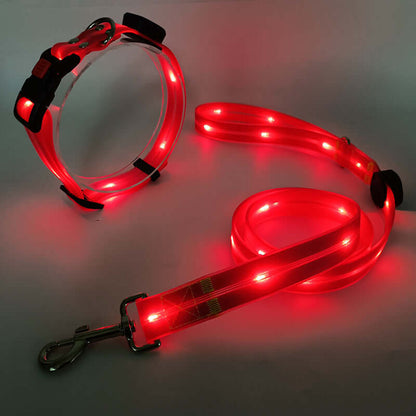 LED Hundehalsband mit Leine - Sicher &amp; Sichtbar