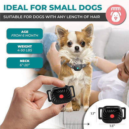 Zelara Halsband Anti-Bellen Hund – Kleine Größe, Sichere Vibration