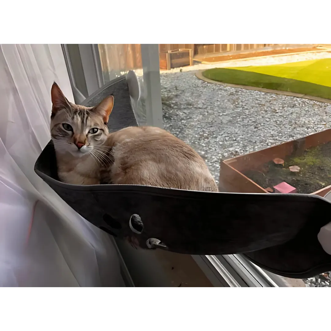 Fenster Hängematte für Katzen | Stabil &amp; platzsparend